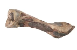 Ben, italiensk bacon
