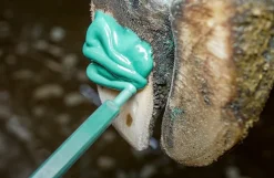 Bovi Hoof ECO glue klovlim