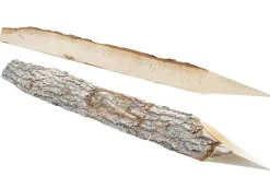 Ege-hegnspæle, 160 cm