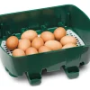 Eggtech rugemaskine til 12 æg