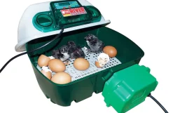 Eggtech rugemaskine til 12 æg