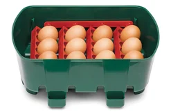 Eggtech rugemaskine til 12 æg