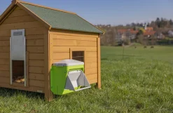 Foderautomat til høns - SmartCoop