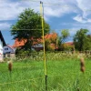 Fårehegn, Easynet
