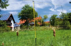 Fårehegn, Easynet