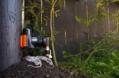Goodnature A24 rottefælde, basic