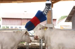 HappyCow kobørste, Flexi Swing