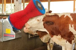HappyCow kobørste, Uno