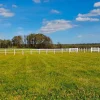 Hestehegn, 80 meter