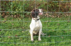 Hundehegn, 120 cm højde