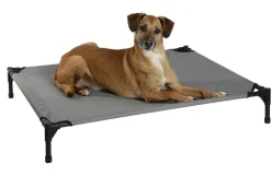 Hundesofa med top