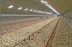 LED-armatur, 20W - 4000K