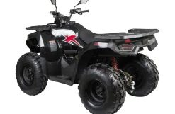 Loncin XWolf 200 ATV, inkl. klargøring