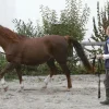 Longerline, 7.5 meter