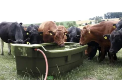 Marktrug 550 liter