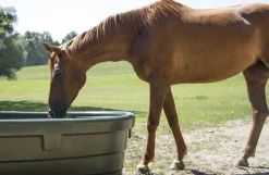 Marktrug 1.000 liter
