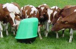 Microfeeder