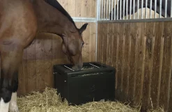 Slowfeeder til heste