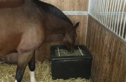 Slowfeeder til heste