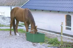 Vandtrug uden svømmer