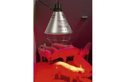 Varmelampe med 2,5 meter kabel, 2 stk